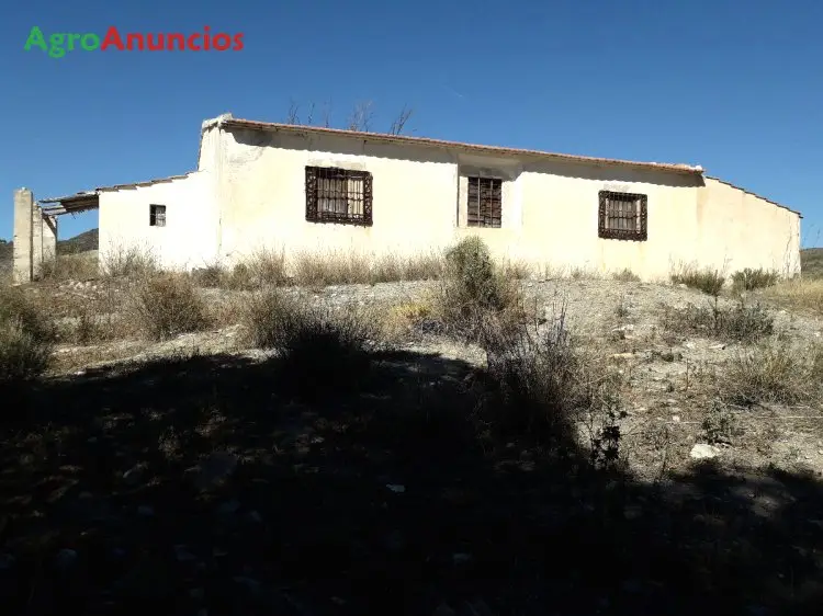 Venta  de Finca con olivos y almendros en Murcia