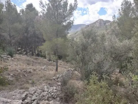 Parcela en Venta Orba 975m2 Vistas Montaña