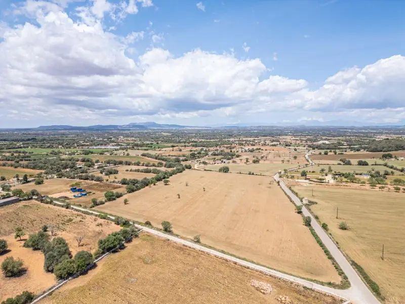 Venta Terreno Rustico Felanitx 35500m2