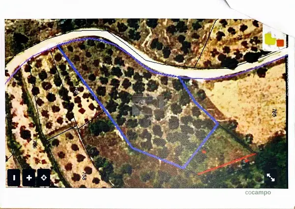 Venta de 7 Parcelas para Cultivo de Olivos en Bogarra 071ha