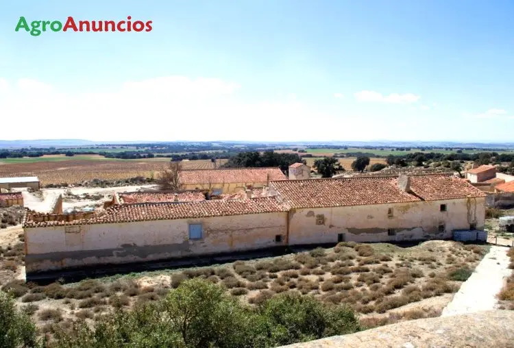 Venta  de Finca con varias casas y bodega en Albacete