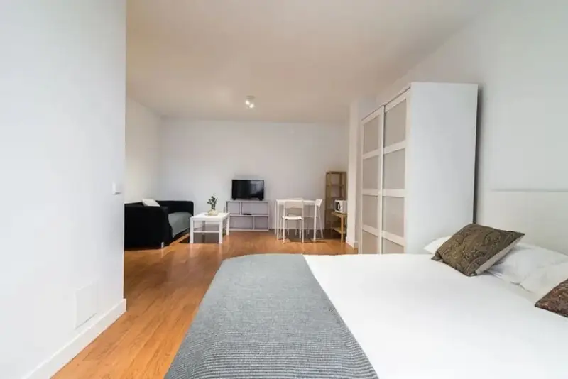 Apartamento en Alquiler Madrid 1 Dormitorio 1 Ba
C3B1o