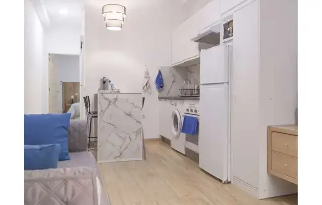 Rent 1 bedroom apartment in Madrid
