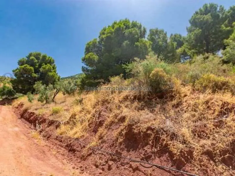 Parcela Rustica en Venta Ardales 2173m2