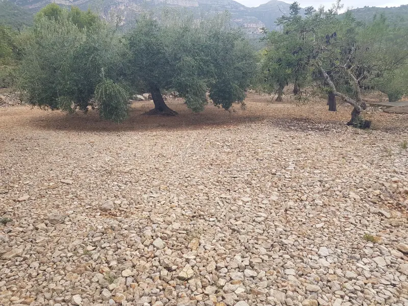 Venta Terreno Rustico 25000m2 Alcanar Platja