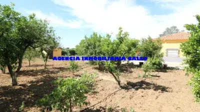 Chalet en Venta Arahal 2500m2 345m2 construidos Piscina