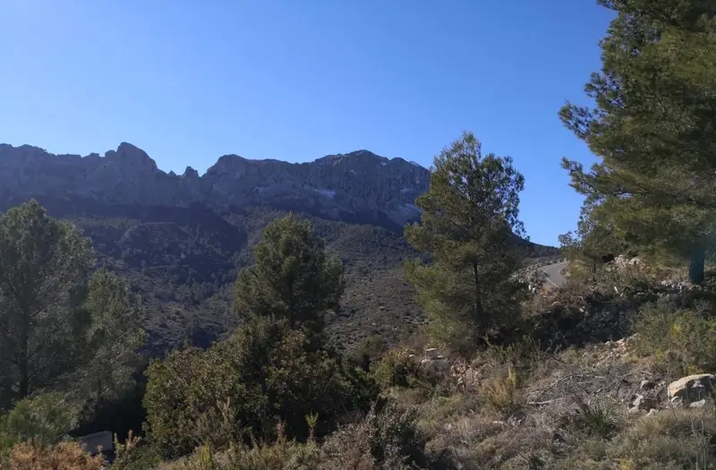 Venta Parcela Bernia Jalon Vistas al Mar