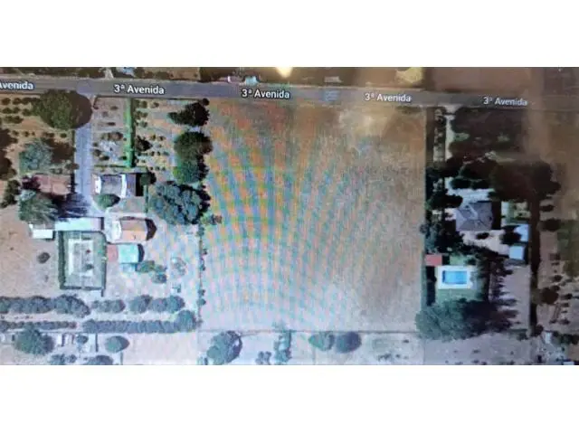 Parcela en Venta Dehesilla de Calamón 9998m2 Avenida Tercera