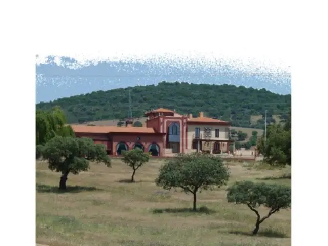 Finca de Caza 640 Hectareas Puertollano