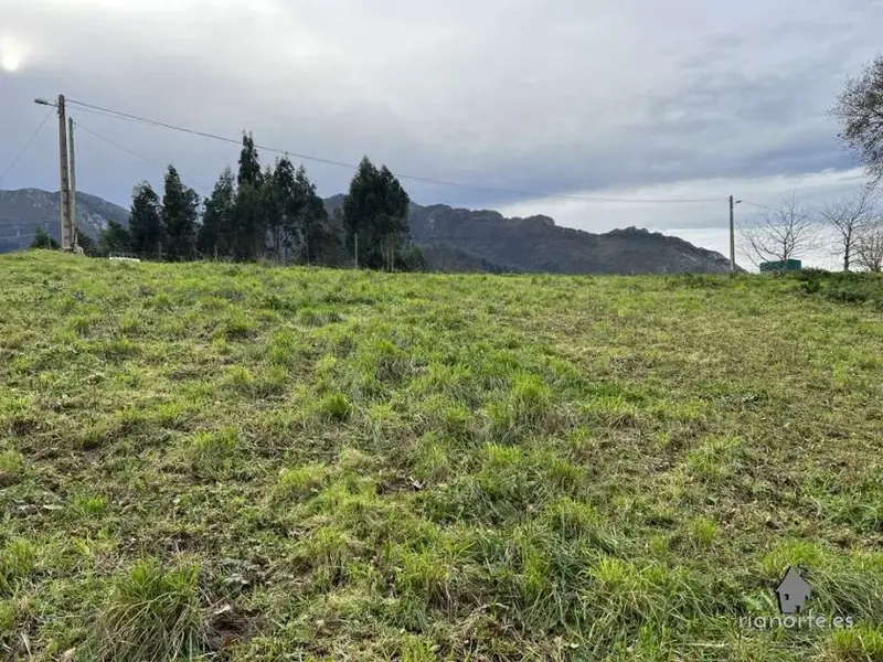 venta Terreno en Ribadesella, Asturias (61417)- Globaliza