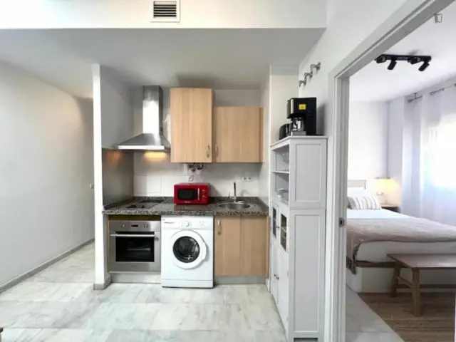 Apartamento con Terraza Privada en Malaga