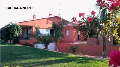 Finca Rustica en Venta Cartaya Casa 226m2 Garaje 244m2 Olivar Instalaciones Ganaderas