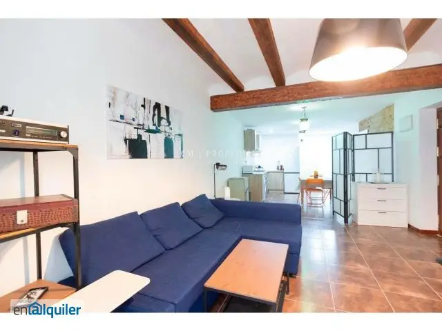 Alquiler Piso Amueblado Terraza Ciutat Vella Valencia