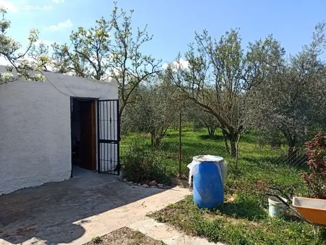 Terreno Rural en Fondon 2500m2 con Cortijo y Olivos