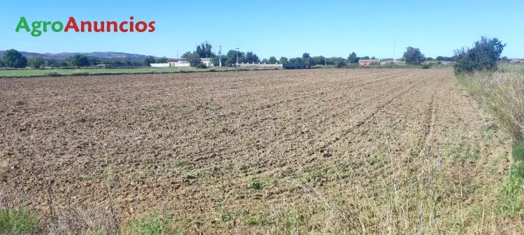 Venta  de Terreno rústico agrario de regadío en Madrid