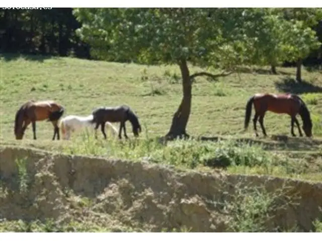 Masía con Licencia de Hotel Rural en Banyoles