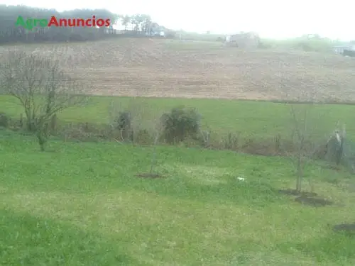 Venta  de Finca de recreo en Asturias