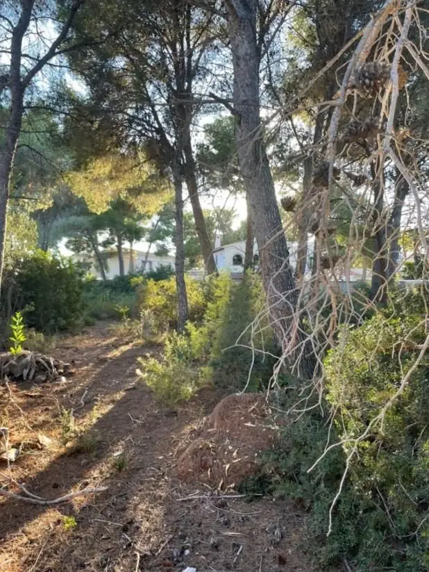 Parcela en Benissa cerca del mar para construir tu casa ideal