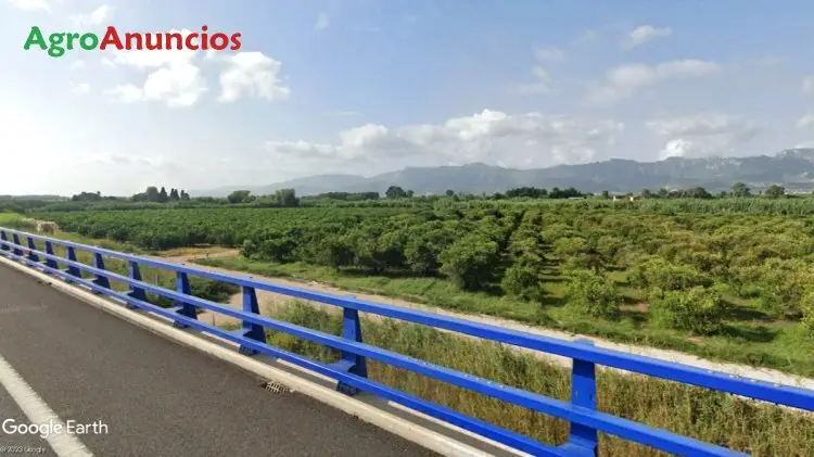 Venta  de Finca de naranjos regadío en Valencia