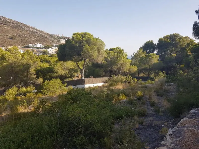 Parcela Urbanizable con Vistas al Mar en Moraira