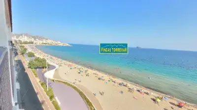 Piso en Alquiler Benidorm Primera Linea Playa Poniente