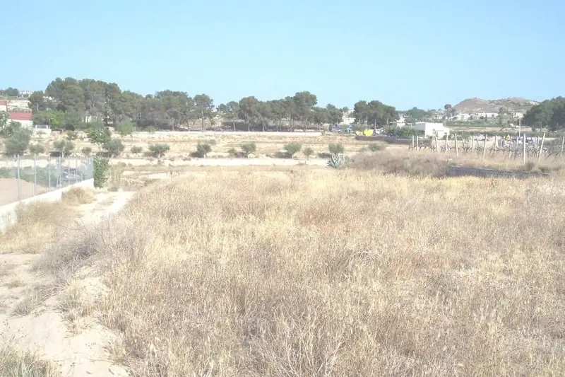 Venta Parcela en Tolomo Aspe 6000m2