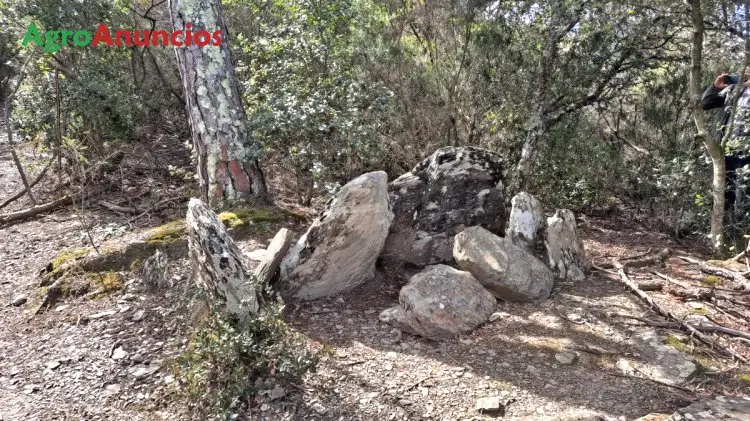 Venta  de Terreno forestal en Girona