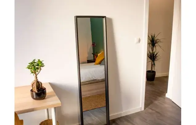 Alquiler Habitacion Madrid La Latina 120m2