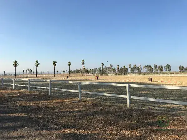 Finca Ecuestre 27 Hectareas Sevilla Carmona