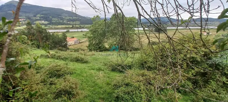 Venta Terreno Rustico Colindres 4717m2