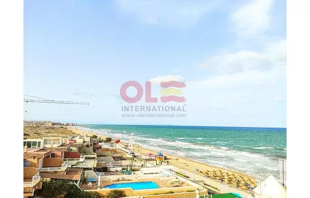 Apartamento 2 dormitorios en La Mata Alquiler Larga Temporada