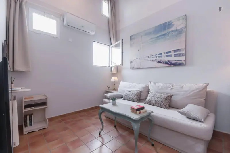 Estudio 1 Habitacion en La Latina Madrid