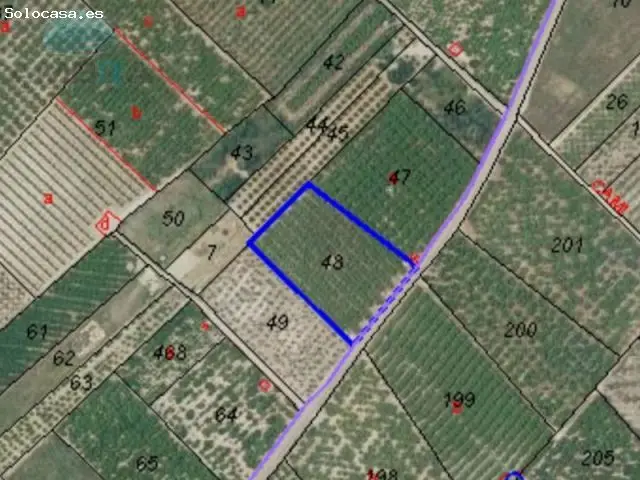Terreno en Venta Plana Pego 3885m2