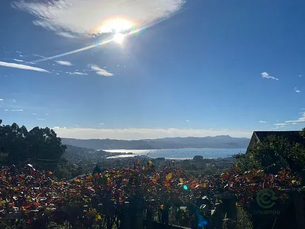 Casa en Broullón con Vistas al Mar y Terreno 01ha