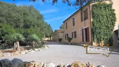 Finca rústica en alquiler en Carretera de Manacor a Porto Cristo