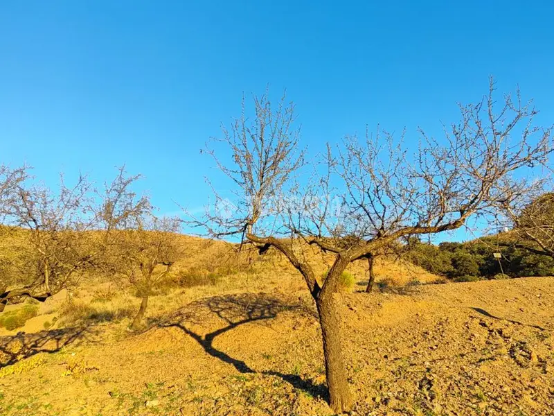 Terrenos en venta en Albondón