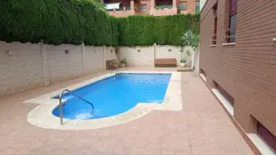 Piso en alquiler en Calle Rector Salvador Vila Hernandez