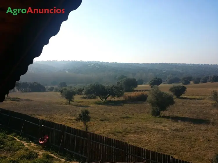 Venta  de Finca de recreo en Toledo