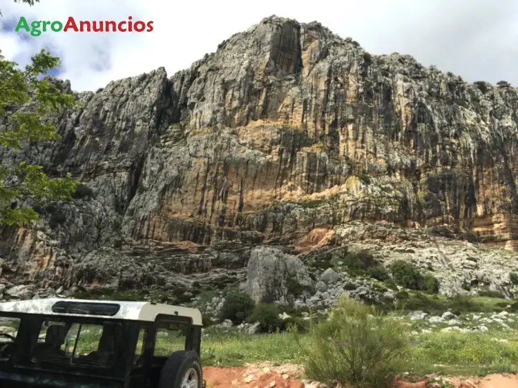 Venta  de Finca ganadera en Málaga