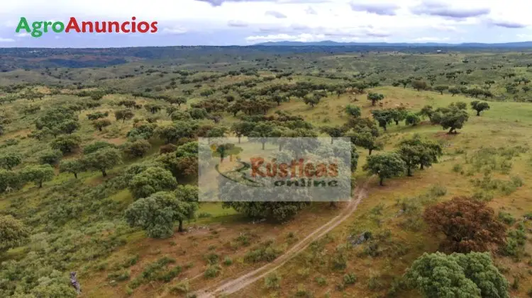 Venta  de Finca ganadera en Cáceres