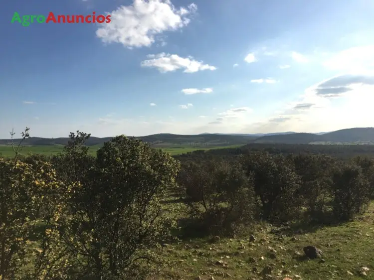 Venta  de Finca de recreo en Badajoz