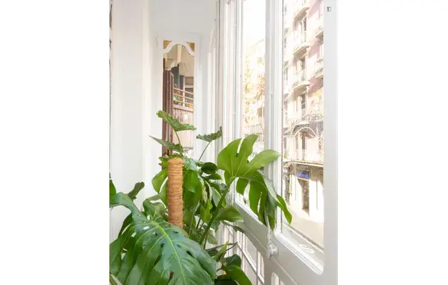 Apartamento 8 Dormitorios Barcelona Centro