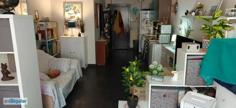 Estudio Loft 35m2 Guadalajara Planta Baja Amueblado Opcional Garaje