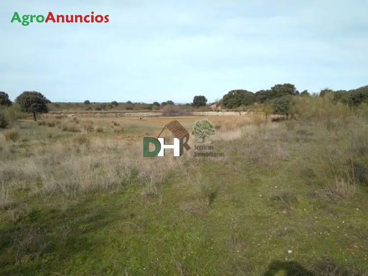 Venta  de Finca ganadera en Cáceres