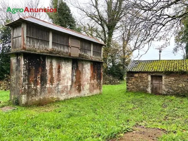 Venta  de Finca con casa de labranza en plena naturaleza en A Coruña