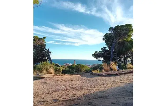 Habitacion en alquiler Calella 350 euros
