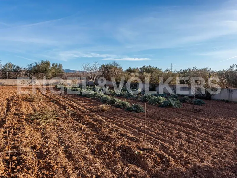 Masía en Vila-rodona Tarragona con 36000m2 de Olivos