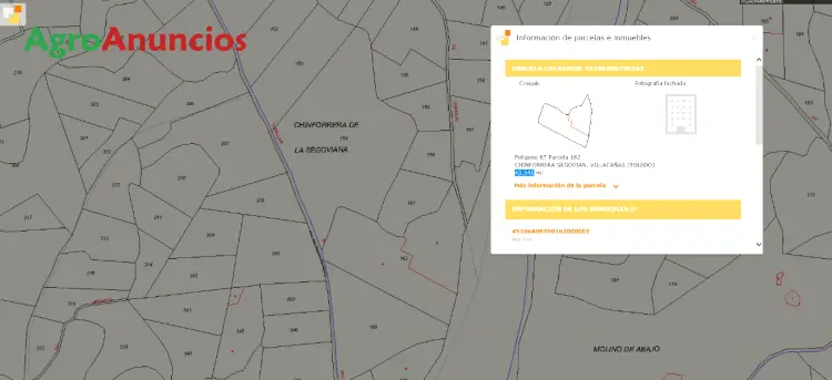 Venta  de Finca viñedo emparrado de  tinto fino en Toledo