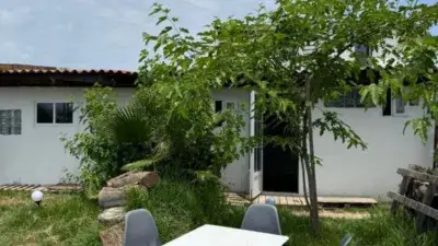 Piso en alquiler en Oliva
