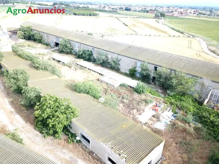 Venta  de Nave ganadera en Lleida